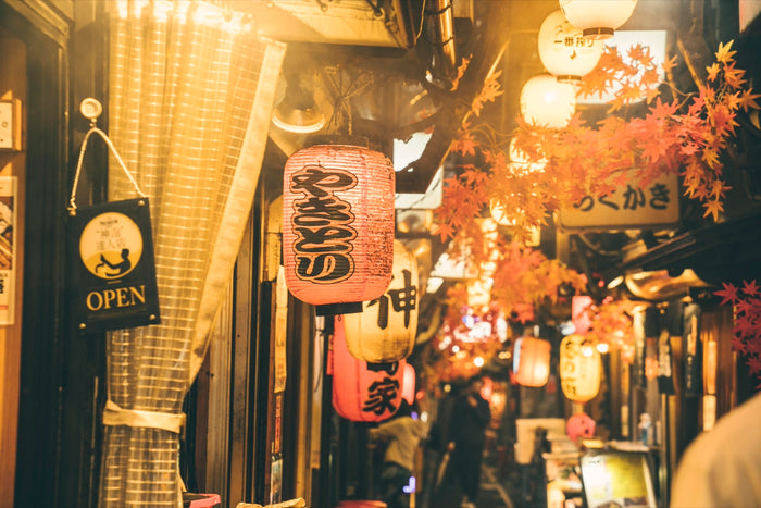 Tokyo Nightlife Experience — Tokyo